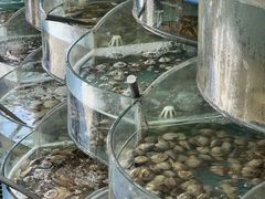 -仙螺岛海鲜自助餐厅(总店)