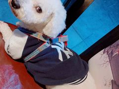 -沈胖子音乐烤吧·炒菜·龙虾(环城东路店)