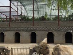 -洛阳马蹄泉旅游度假村