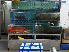 -养牛邓·潮汕牛肉海鲜自助火锅(广州店)