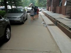 -中国政法大学(昌平校区)