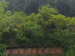 -娄山关景区
