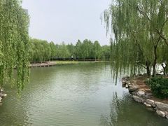 -大兴滨河森林公园