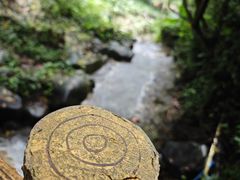 -火炉山森林公园