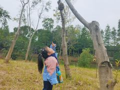 -苏州太湖国家湿地公园