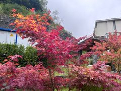-古尔沟华美达温泉度假酒店