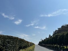 -树山生态村