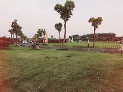 -明珠湖天鹅苑·农家菜馆