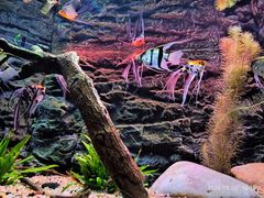 -上海海洋水族馆