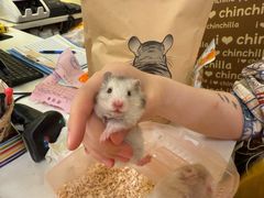 -龙猫仔乐园(惠福东路店)