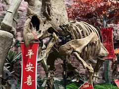 -河南自然博物馆