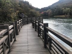 -白马涧龙池景区