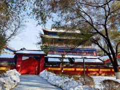 -长白岛森林公园