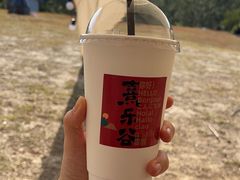 -清远熹乐谷温泉度假酒店