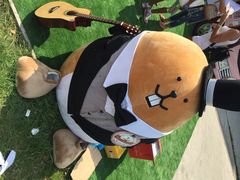 -松声马术俱乐部