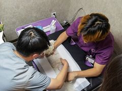 -宠爱国际动物医院·消化内科·心肾内科·ISFM猫友好(望京店)