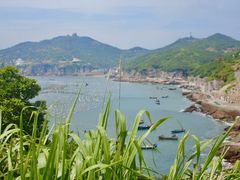 -枸杞岛