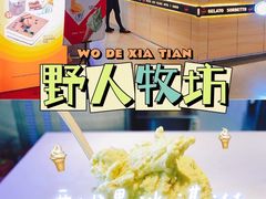 -野人牧坊Gelato(天津南开大悦城店)