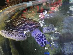 -鸿通城购物中心