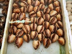 -南沙十九涌渔人码头-南门