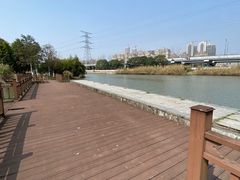 -三垟湿地
