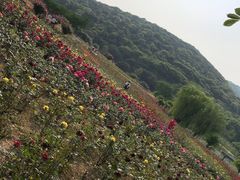-龙寺生态园