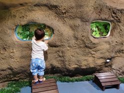 -酷嗒动物文化乐园(cutezoo西溪乐天城店)