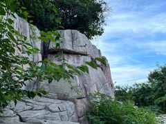 -北京西山国家森林公园