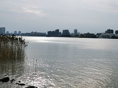 -上海山野camping·户外天幕烧烤·团建拓展营地