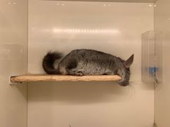 -龙猫仔乐园(惠福东路店)