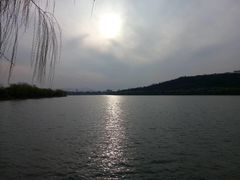 -羊山湖公园