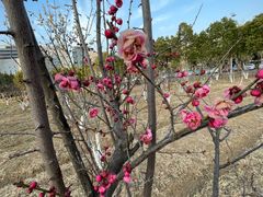 -天鹅湖体育公园