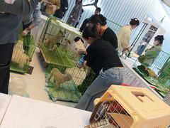 -万达广场(龙湖店)