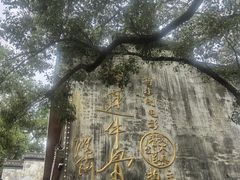 -上坦村