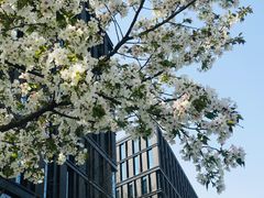 -网易（杭州）网络有限公司