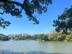 -江心屿景区