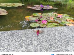 -云溪植物园