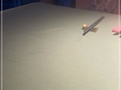 -老吉堂上海本帮菜(望京万象汇店)