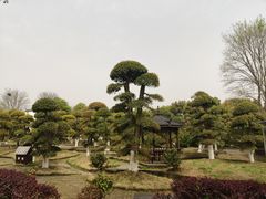 -武汉紫薇都市田园