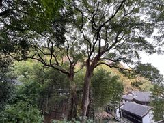 -岳麓山风景名胜区