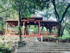 -青芝山风景名胜区