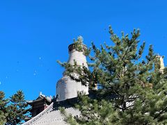 -五台山风景区
