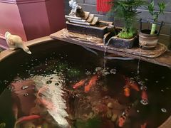 -八府香鸭·啫啫煲(华山路店)