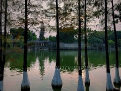 -东莞市可园博物馆