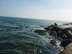 -老虎石海上公园