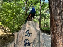 -燕塞湖鸟语林景区