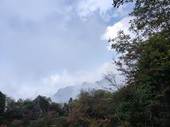 -山王坪喀斯特国家生态公园