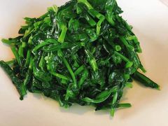 清炒豌豆尖-四季民福烤鸭店(前门店)