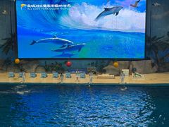 -泉城欧乐堡海洋极地世界