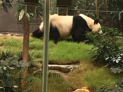 -香港海洋公园